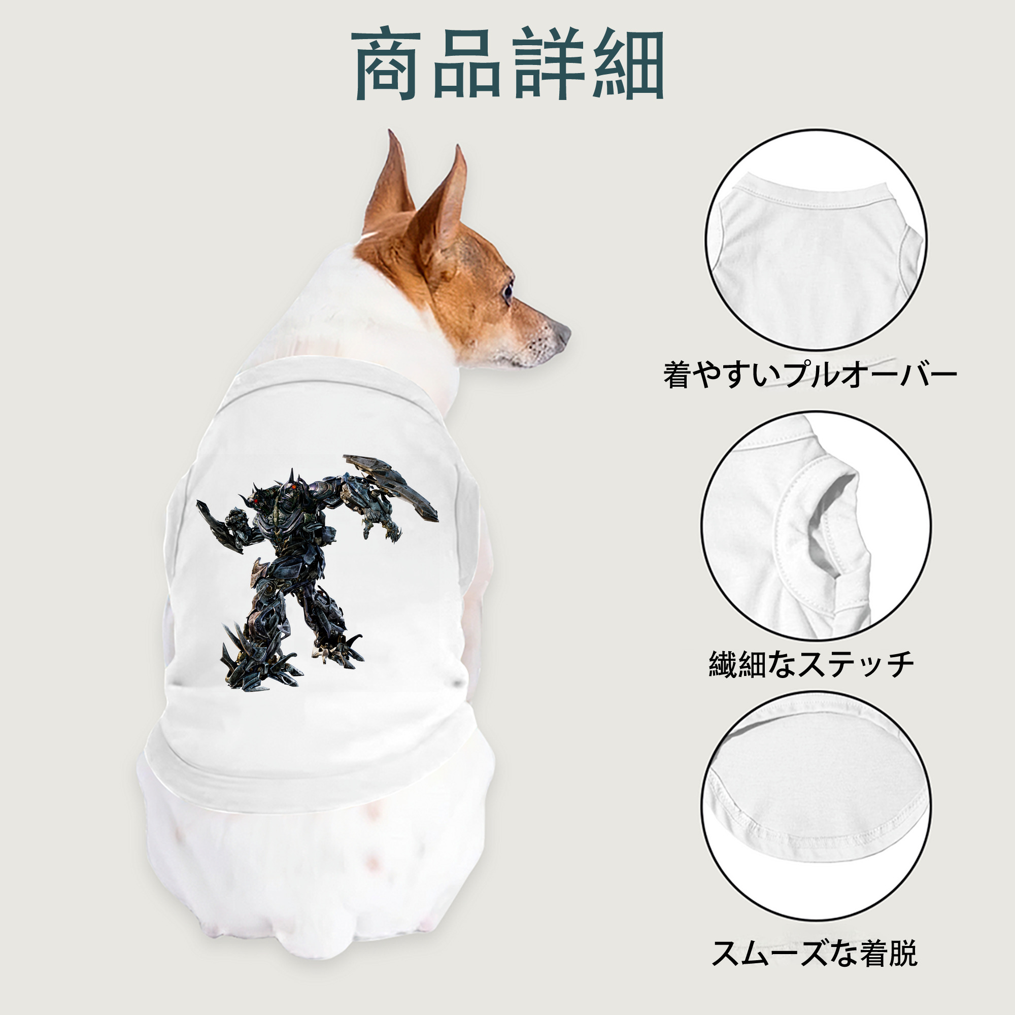 一般的なイメージ