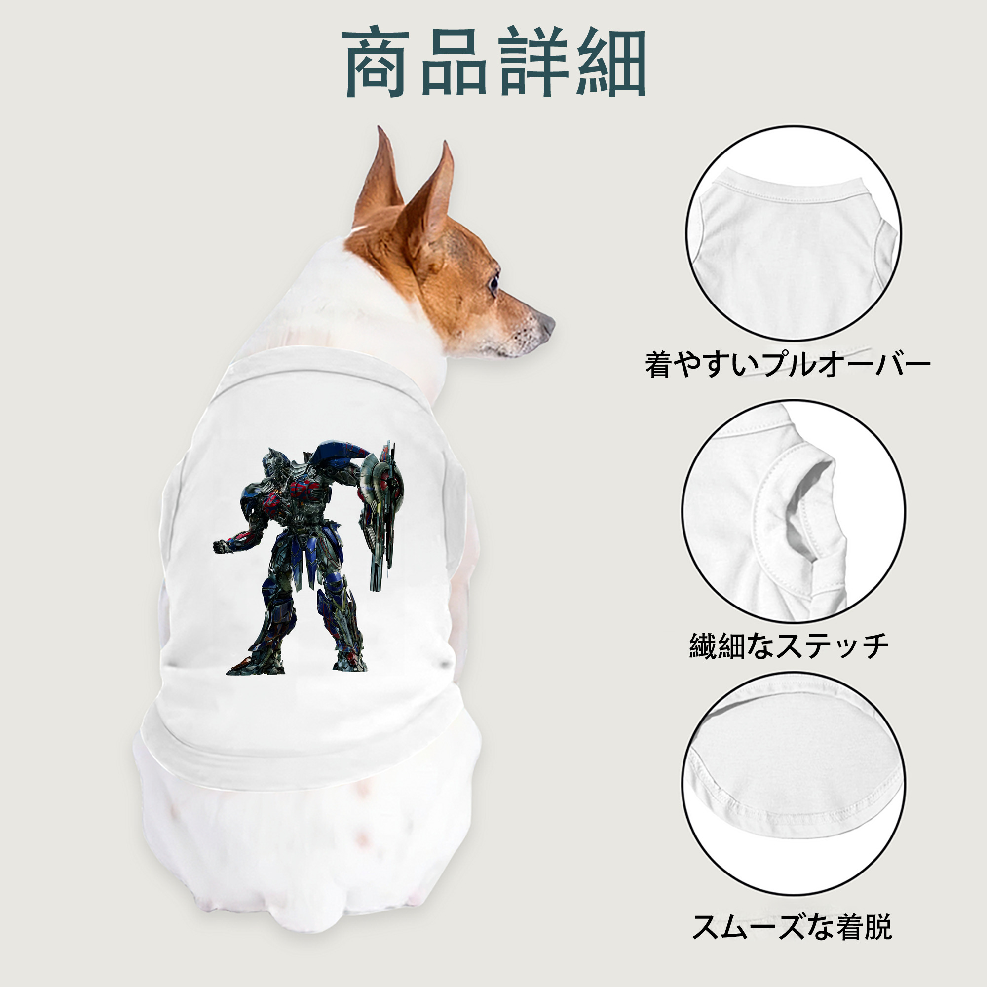 一般的なイメージ