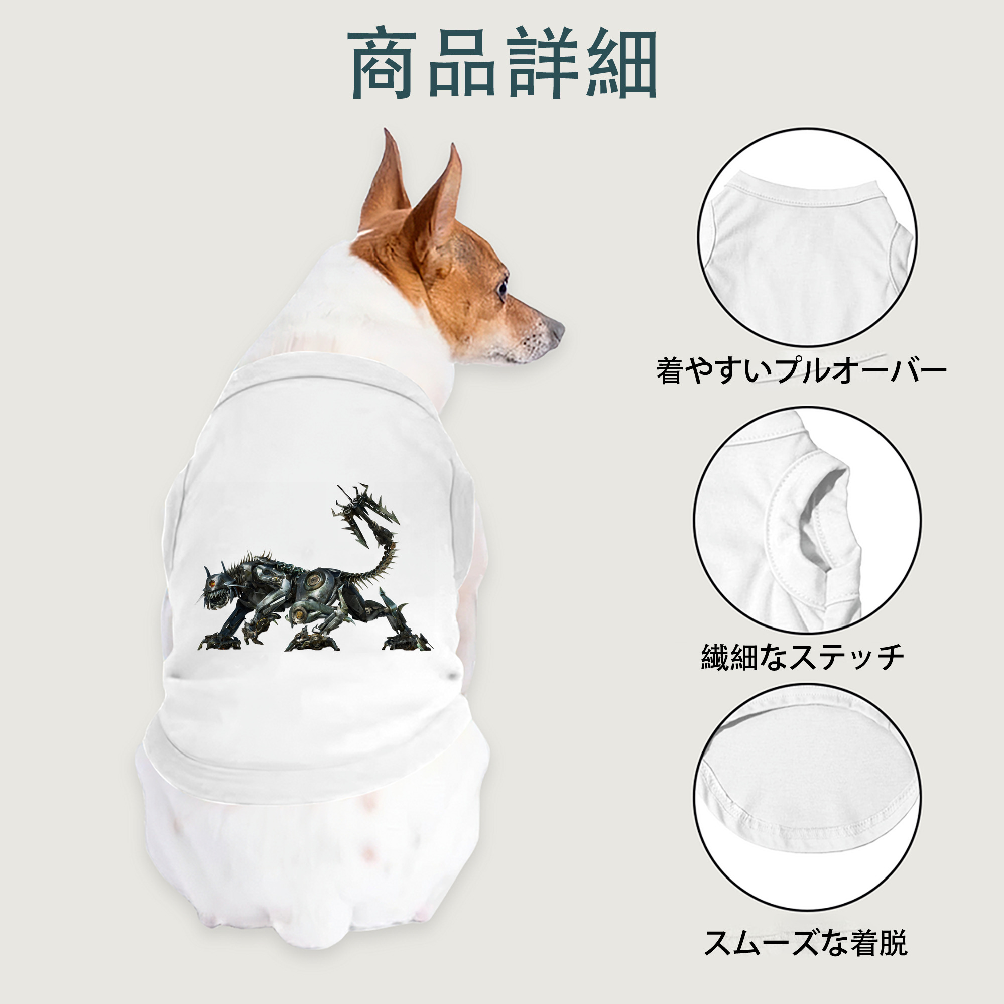 一般的なイメージ
