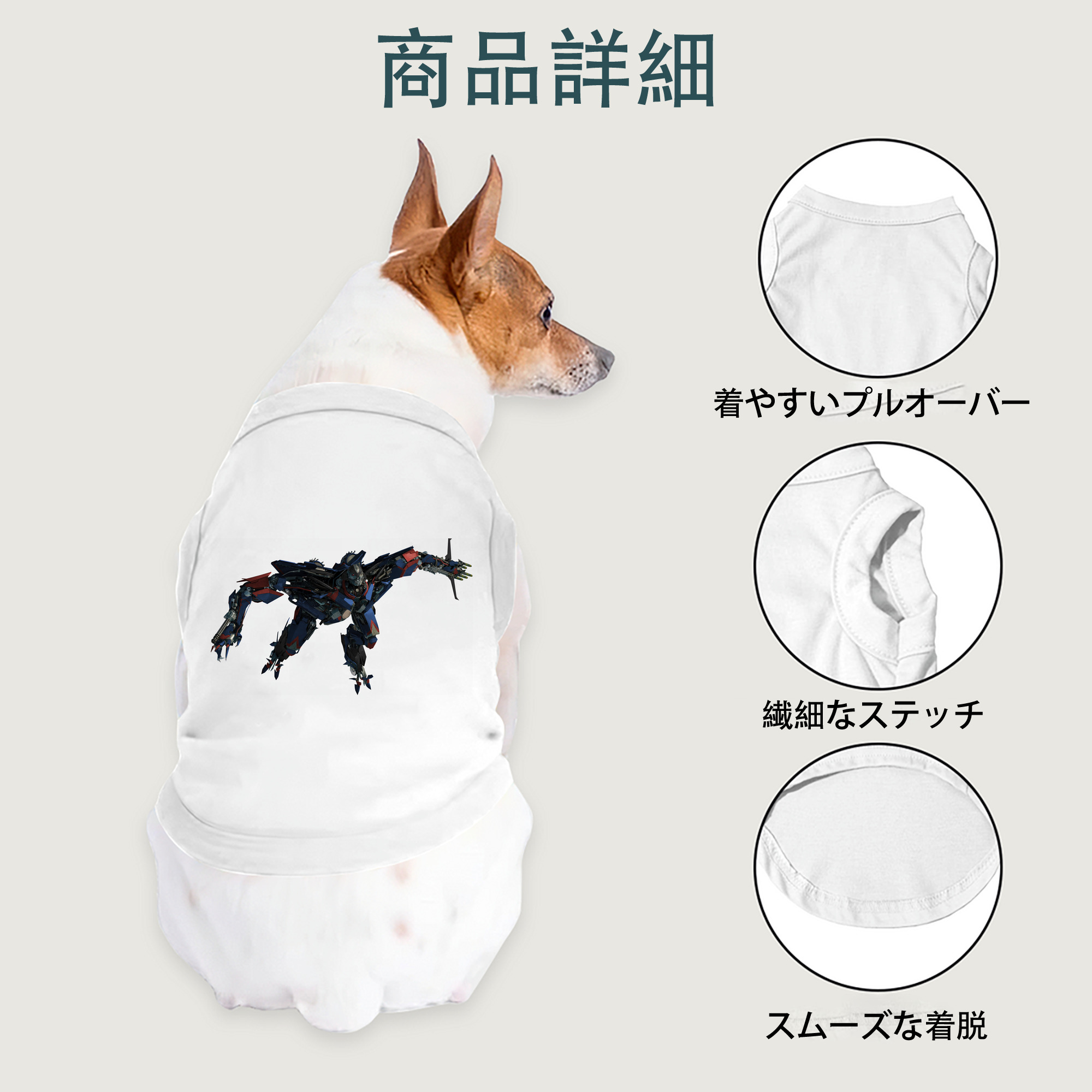 一般的なイメージ