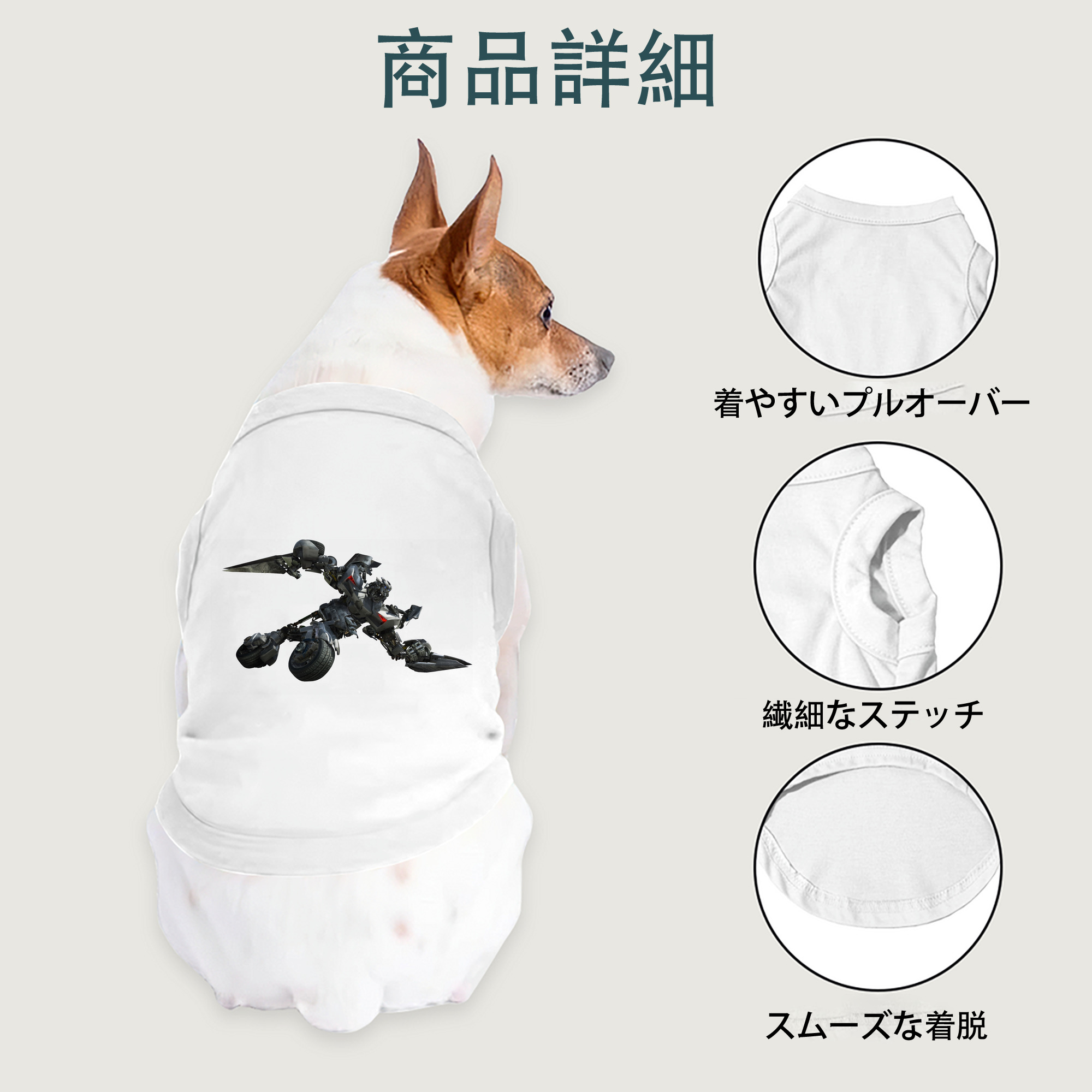 一般的なイメージ