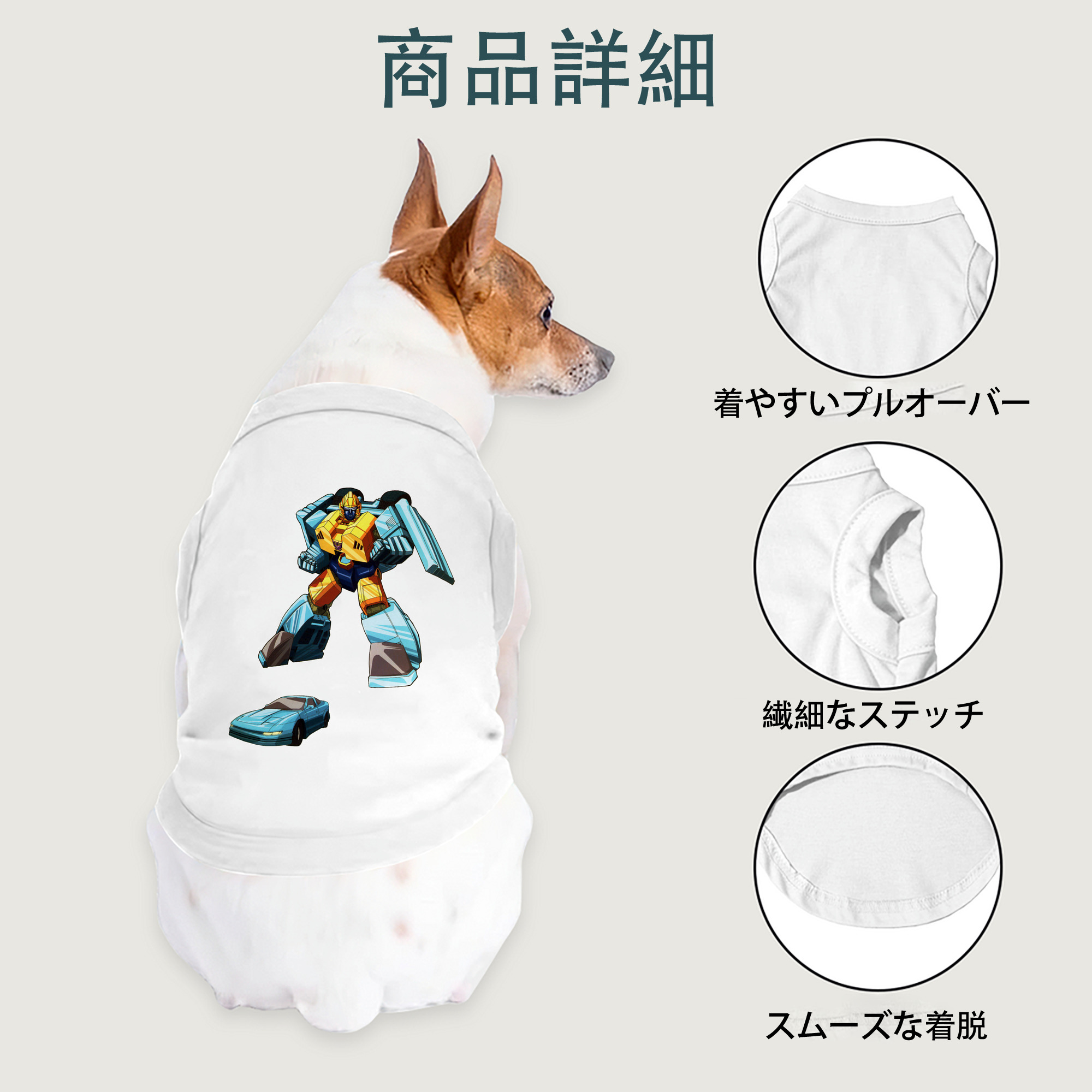 一般的なイメージ